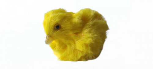Цыпленок во Альметьевске